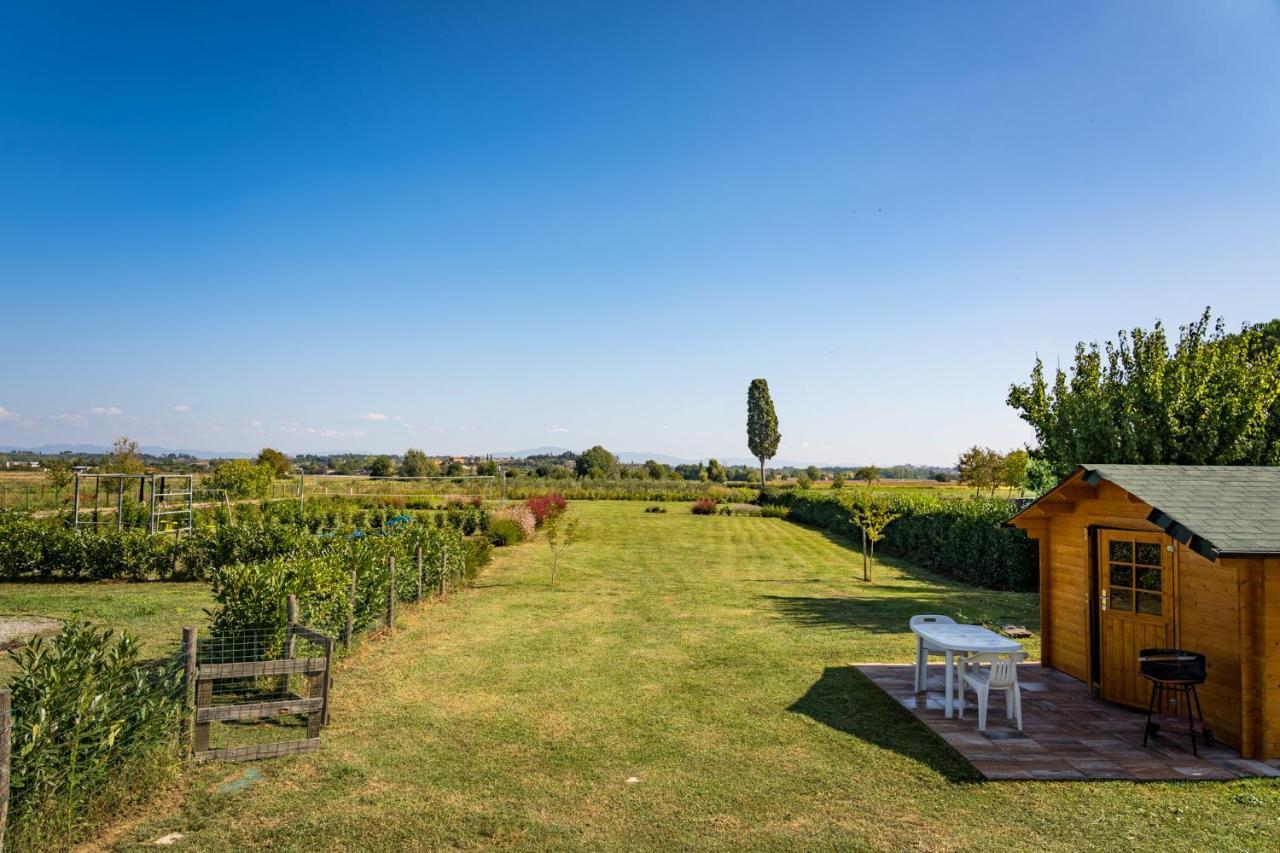 Borgo Terrosi Bed & Breakfast Sinalunga Bagian luar foto